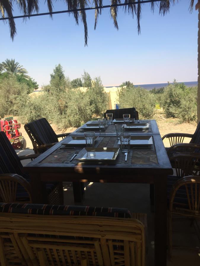 Kom El Dikka Agri Lodge ‘Izbat an Nāmūs Eksteriør billede